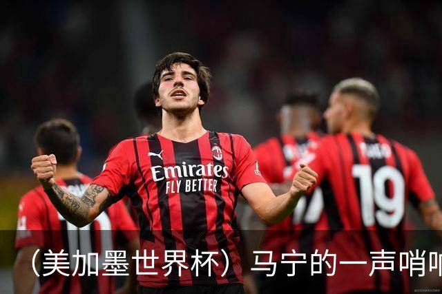 （美加墨世界杯）马宁的一声哨响，中国足球的另一种抵达